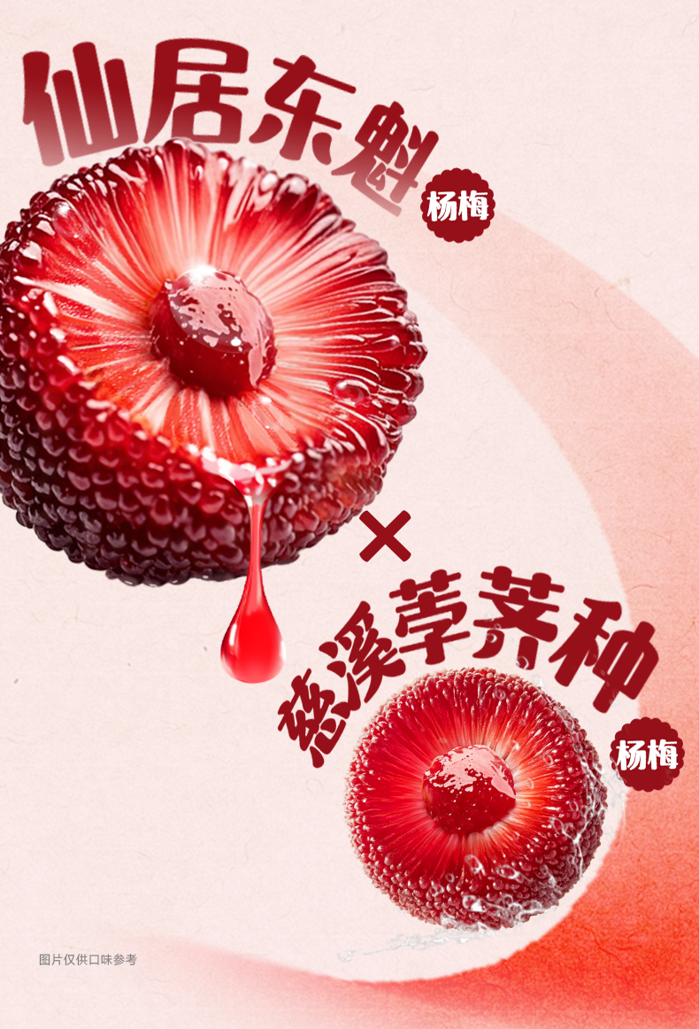 200mL杨梅汁详情页_04.png