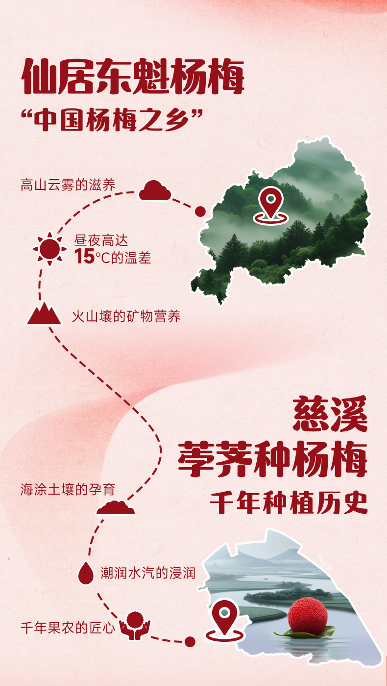 200mL杨梅汁详情页_05.png